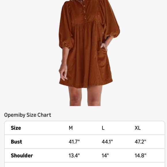 Burnt orange Corduroy Dress - Picture 2 of 3